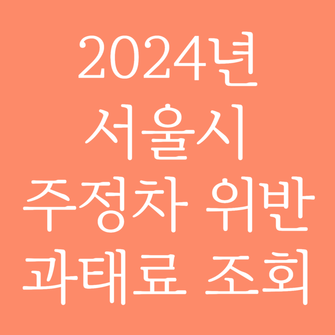 2024년 서울시 주정차 위반 과태료 조회하기