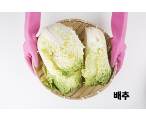 배추