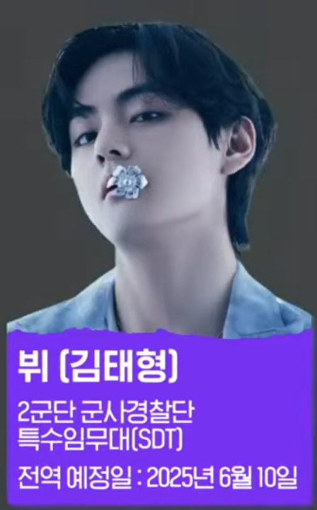 뷔 전역일