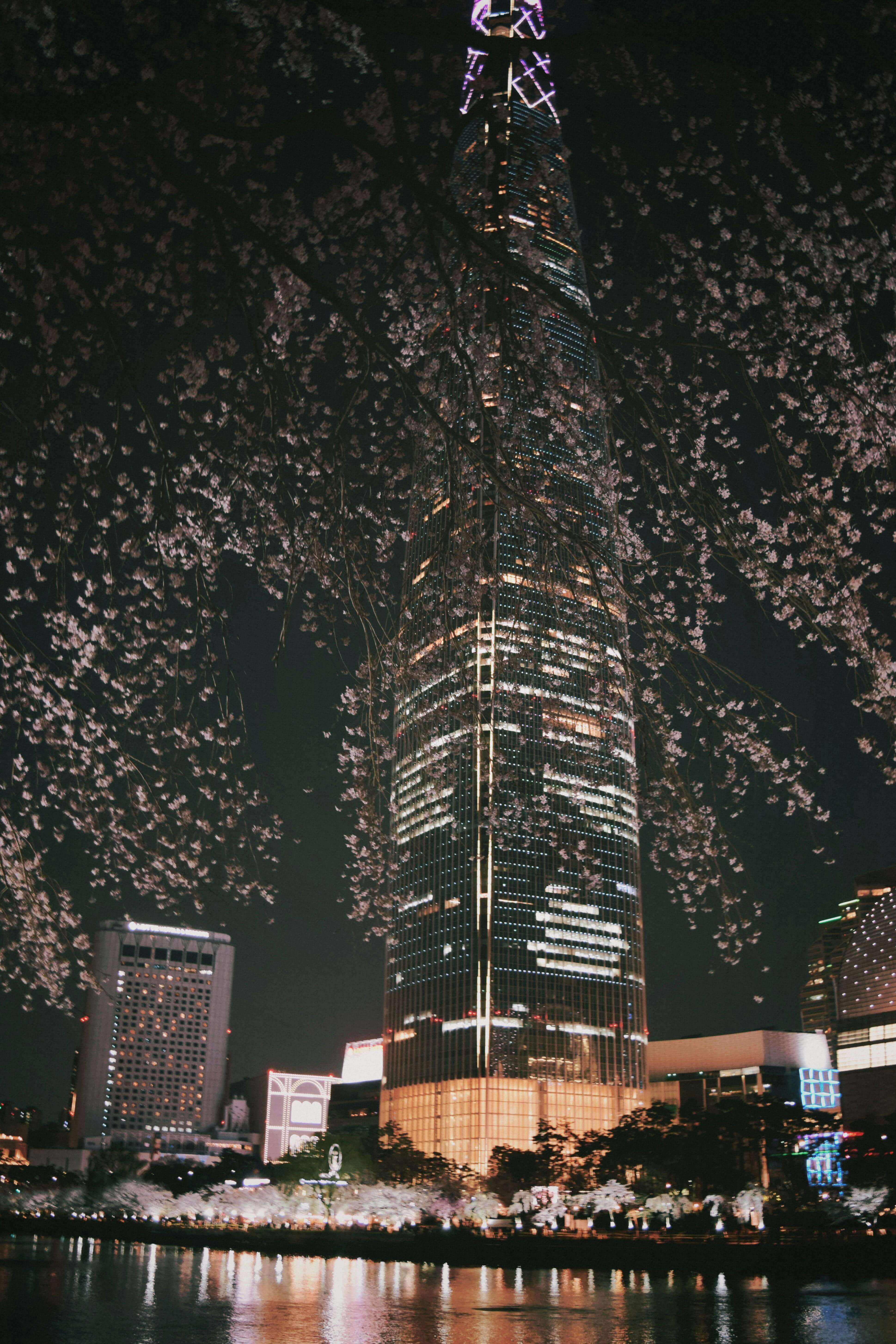 코리아 그랜드 페스티벌 3일만에 완벽 즐기기