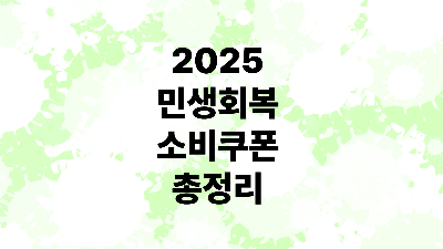 2025 민생회복 소비쿠폰