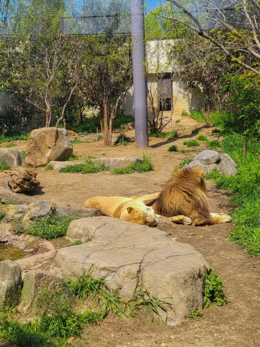 전주_드림랜드