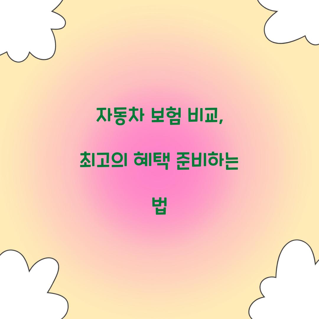 자동차 보험 비교