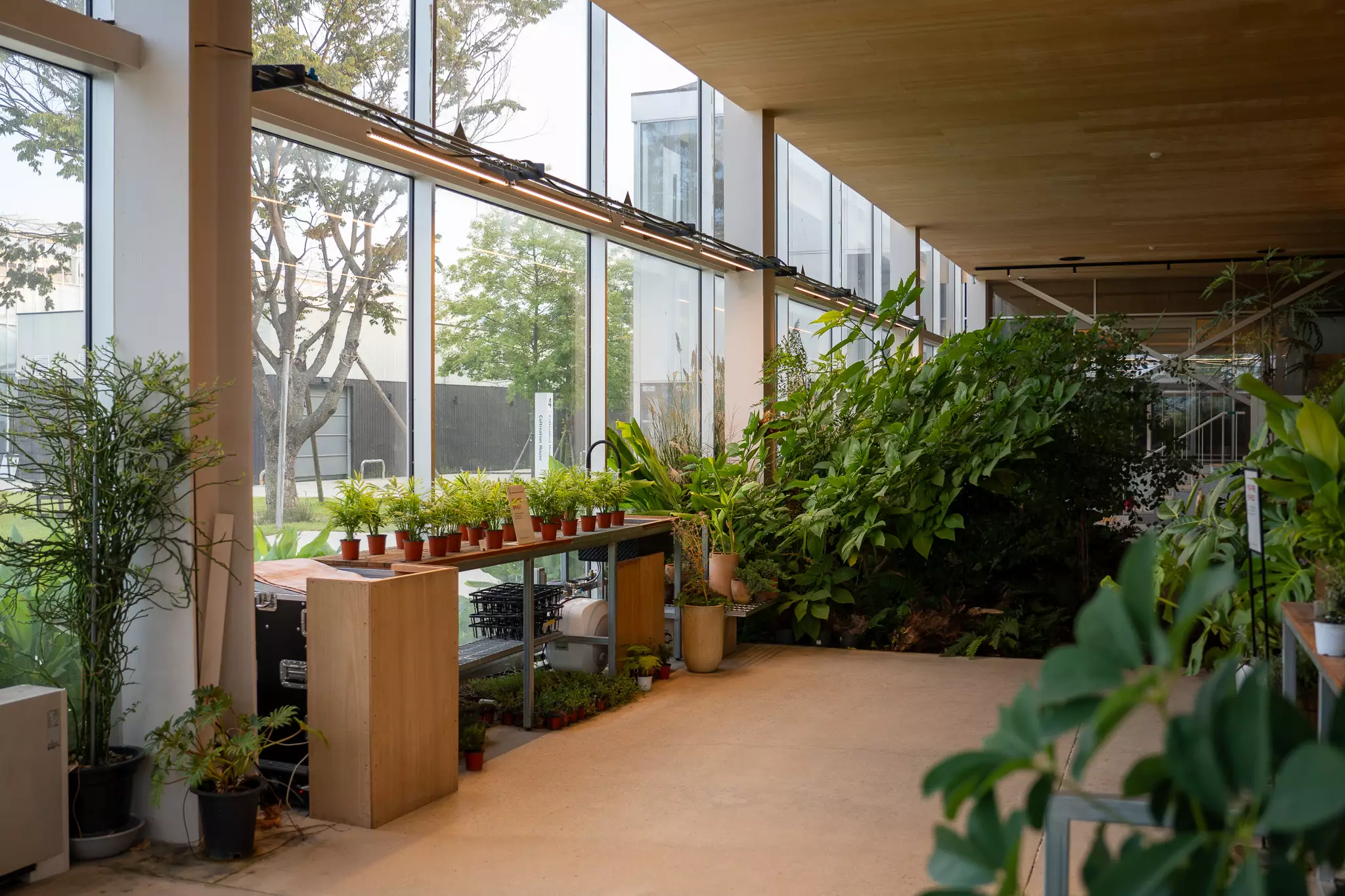 뤁스퀘어-작은상점