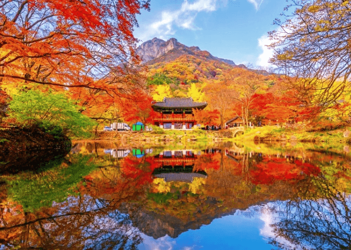 내장산국립공원