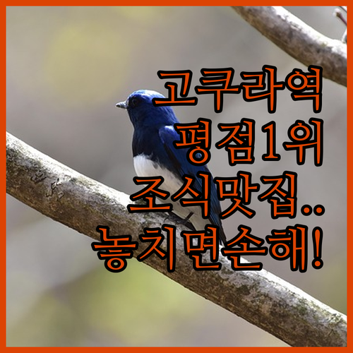 일본 기타큐슈 여행 고쿠라역 주변 평..