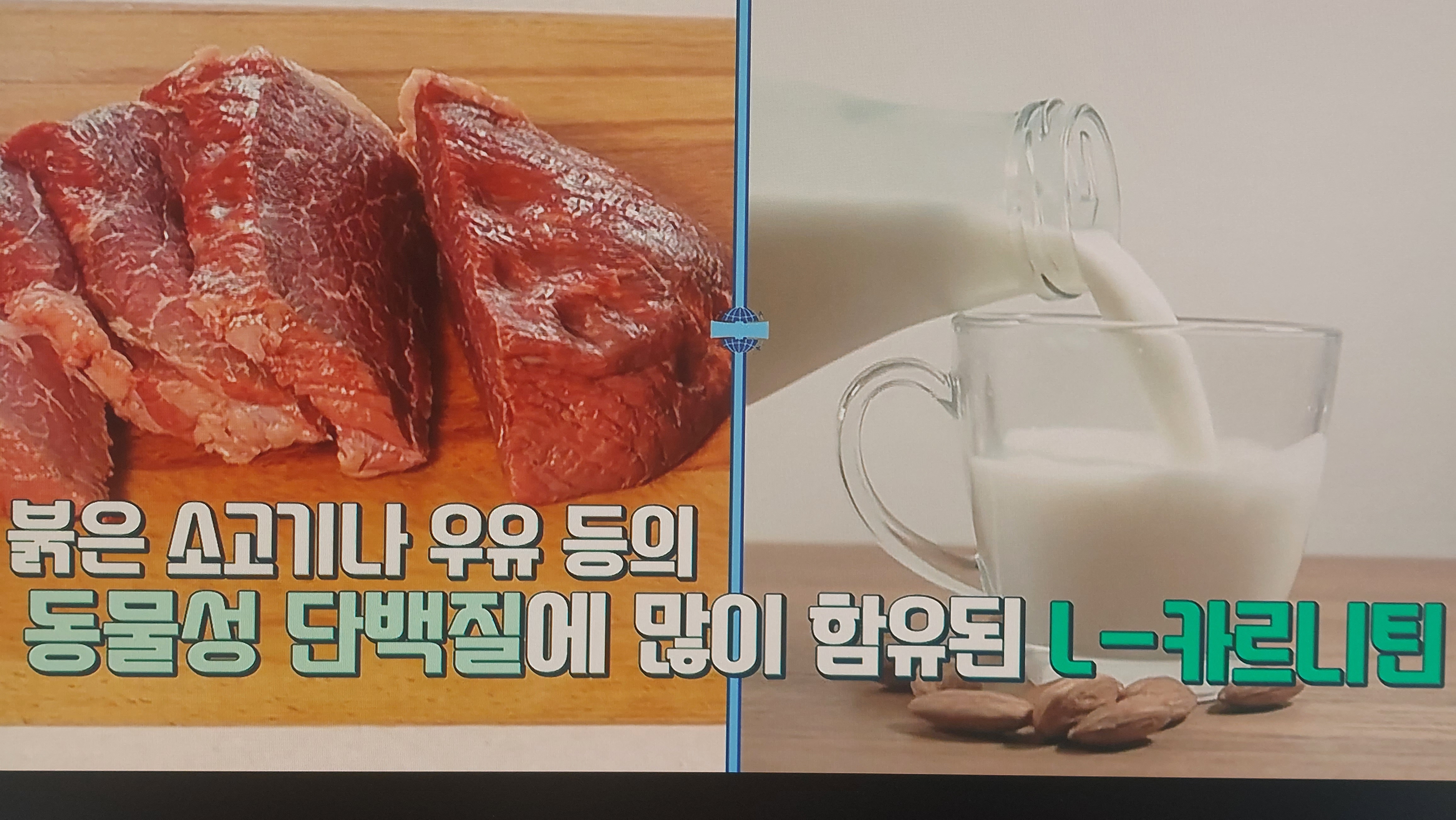 L-카르니틴