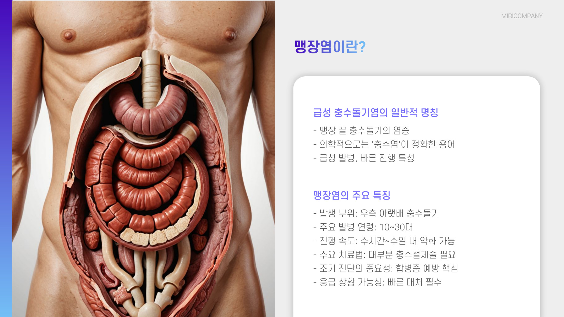 맹장염 초기증상과 위치