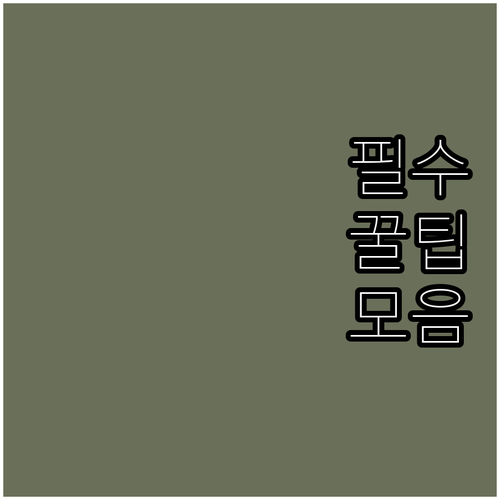 2025 장흥군 출산장려금 누가 얼마..