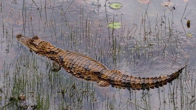 청와대 관람신청