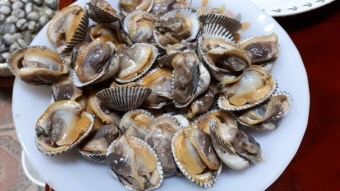 꼬막 효능 부작용