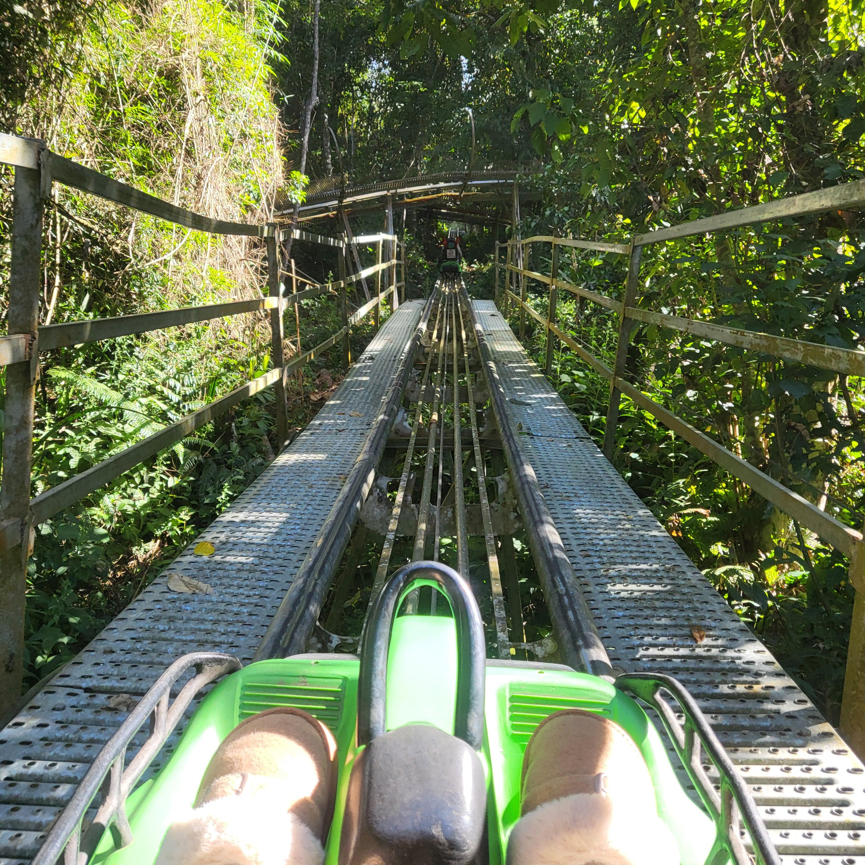 달랏 다딴라 폭포 레일바이크 총정리: 입장료 가격부터 주의사항 사진 인화 꿀팁까지 (현금 필수/아이 동반)