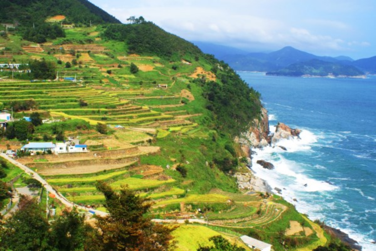 가천 다랭이마을 전경