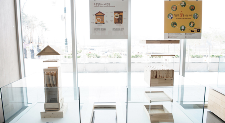 칠곡 꿀벌나라 테마공원