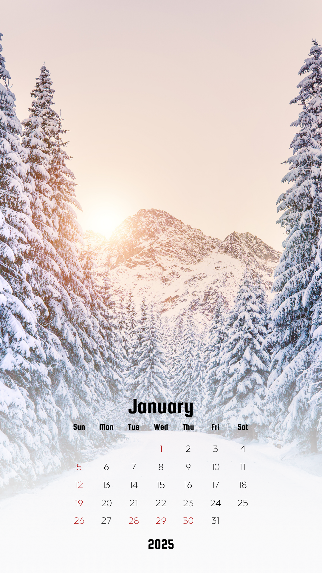 25년 1월 달력 스마트폰 배경화면 사진 이미지 모음