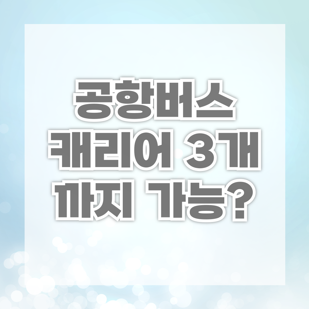 공항버스 캐리어 3개까지 가능