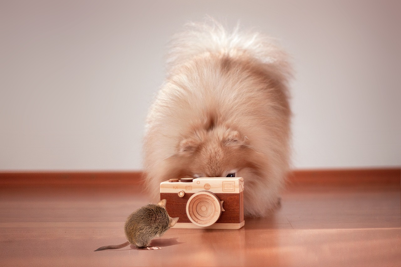 ADHD 증상 테스트 자가진단 검사치료