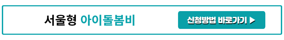 서울형 아이돌봄비