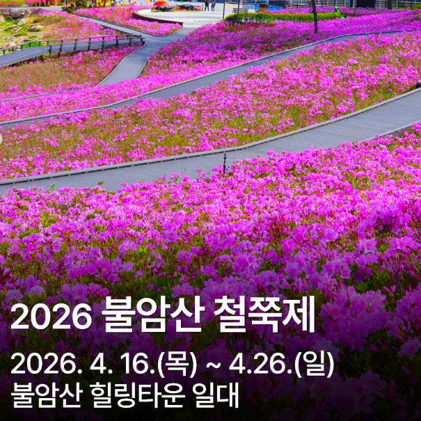 축제
