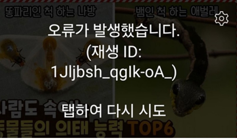 유튜브 오류 해결방법