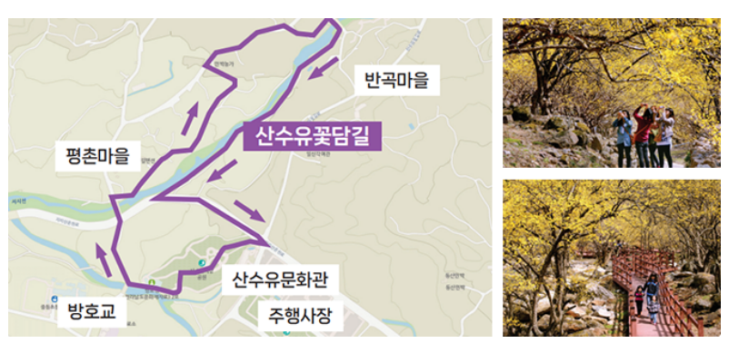 구례 산수유꽃 축제 행사 일정