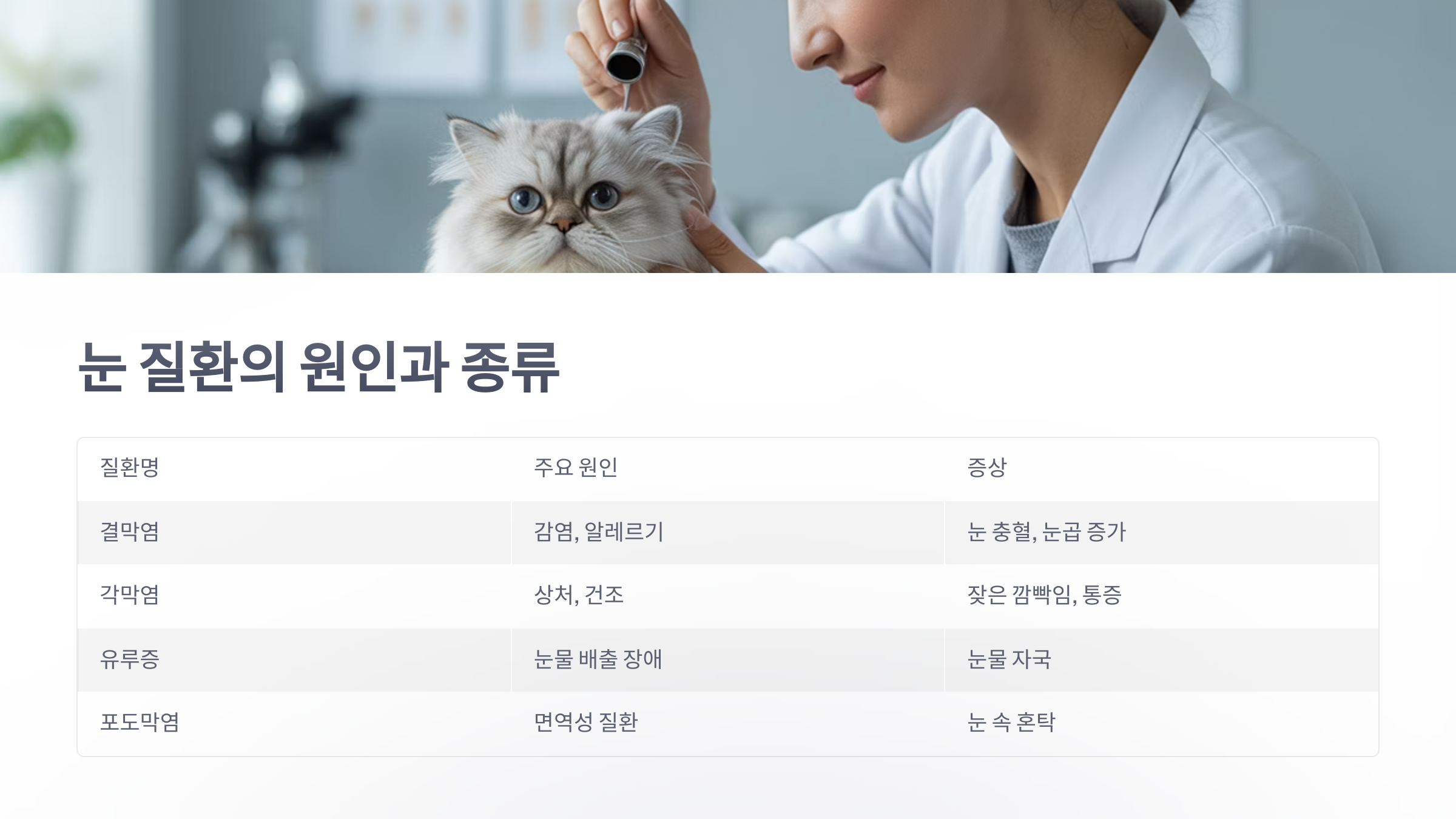 참조-고양이-눈-건강-문제-3