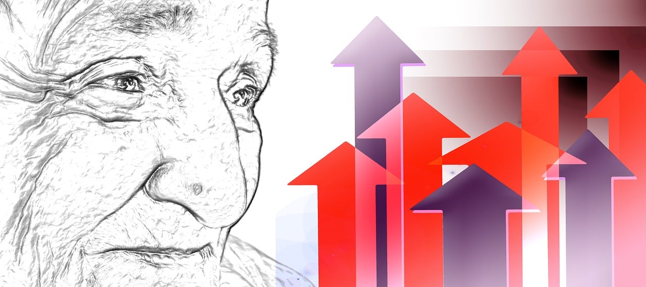 기초연금 노령연금 상승