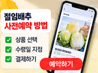 2026 절임배추 사전예약 20kg 가격 비교와 예약 시기&amp;#44; 김장 준비 방법 총정리 