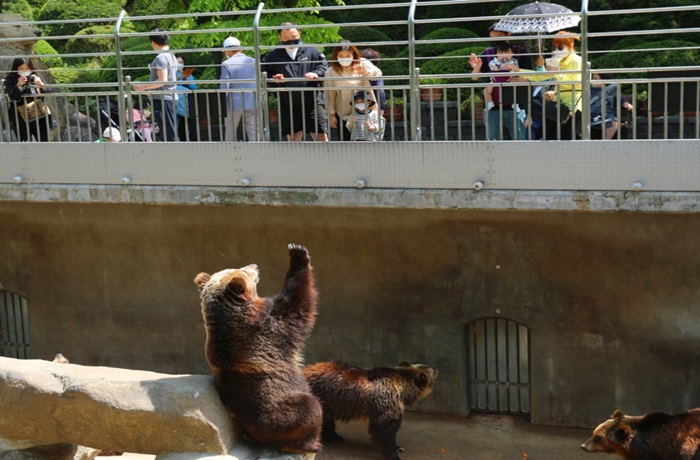 베어트리파크 철쭉제 '봄과 철쭉' (출처:한국관광공사)