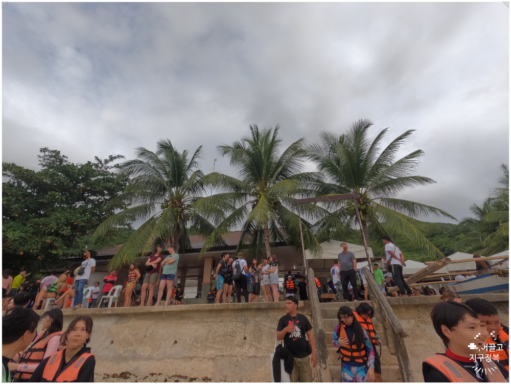 세부 오슬롭 고래상어