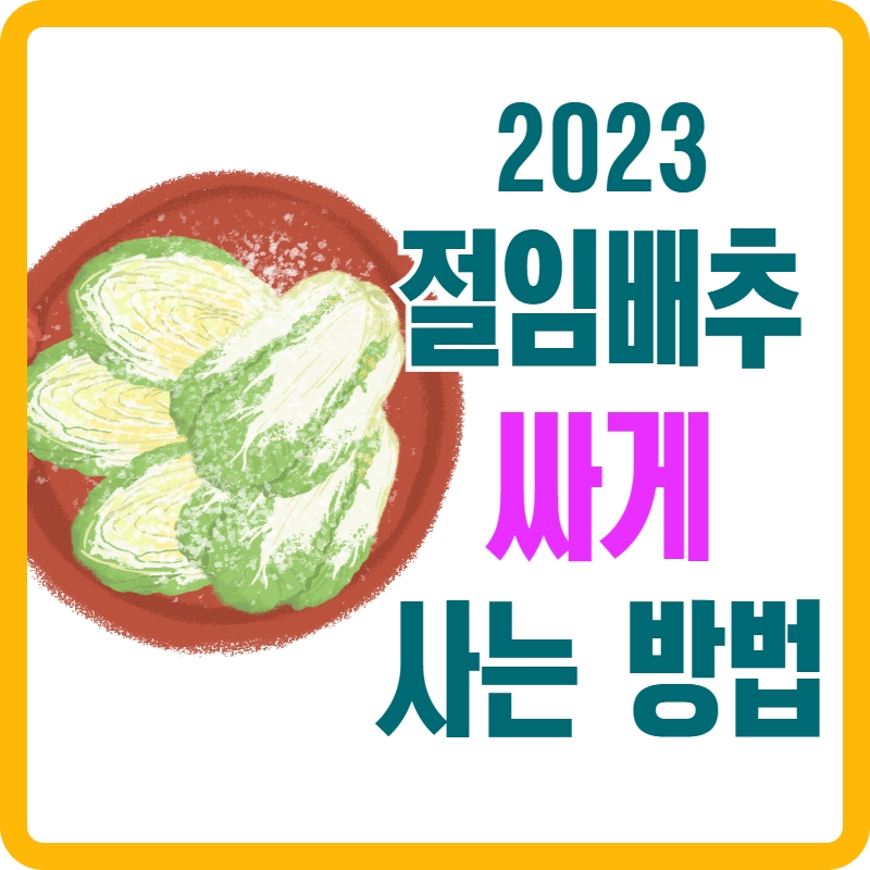 2023년 절임배추 싸게 사는 방법