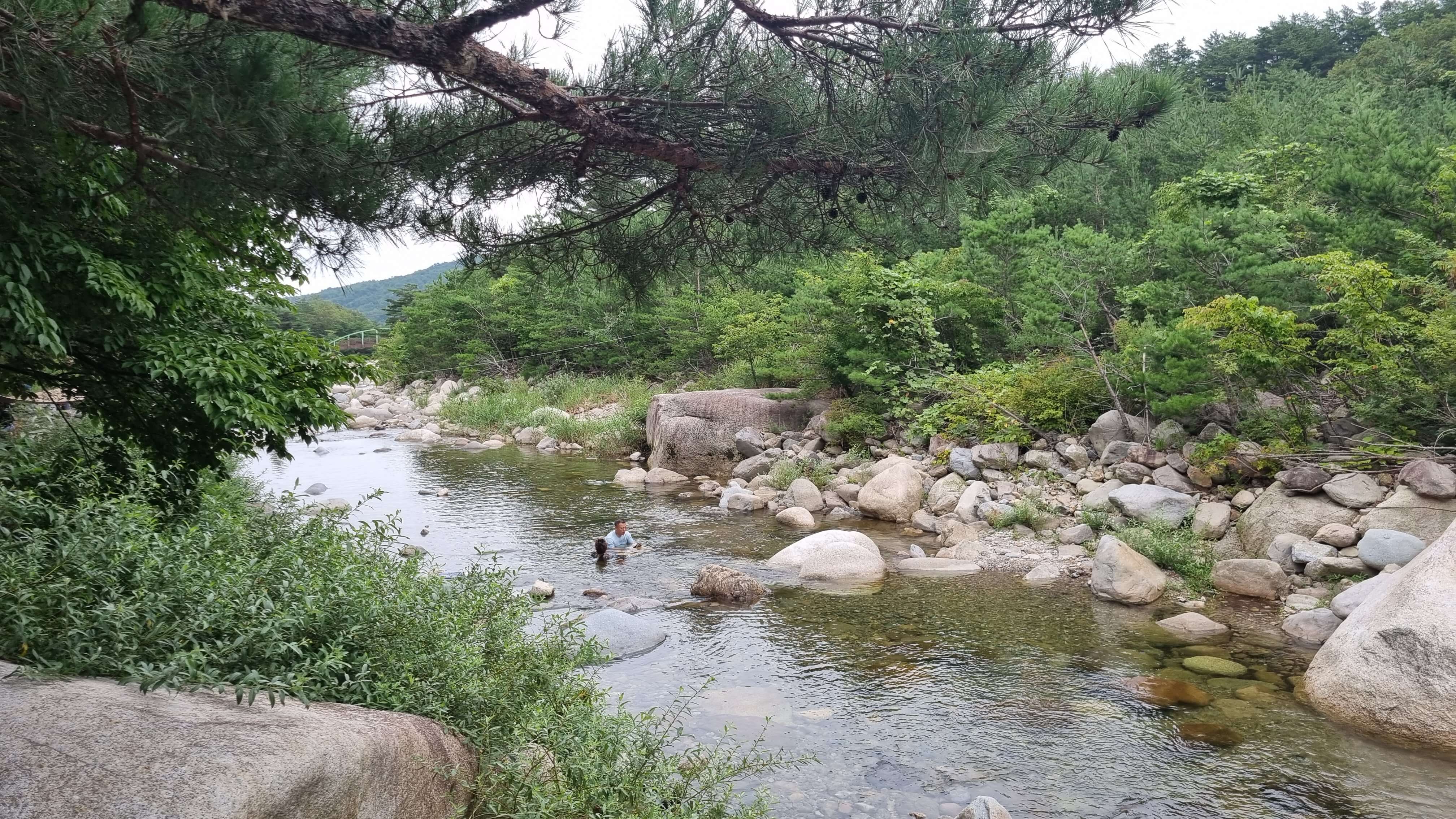 도원리 계곡-사진