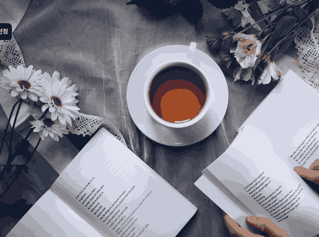 종이책, 전자책, 오디오북을 통합 관리하는 노션 독서 시스템