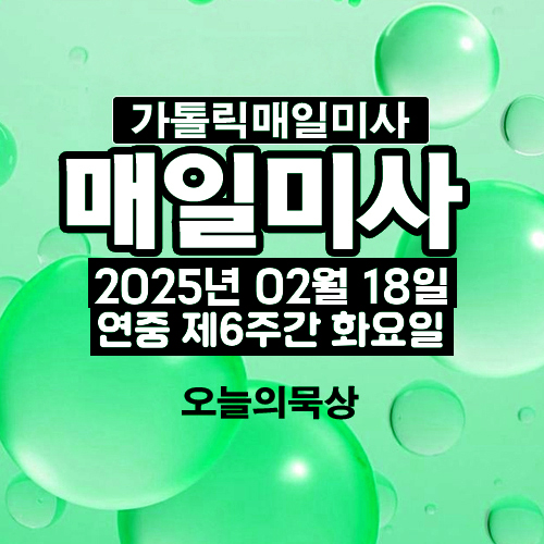2025년 2월 18일 매일미사 연중 제6주간 화요일 오늘의 묵상