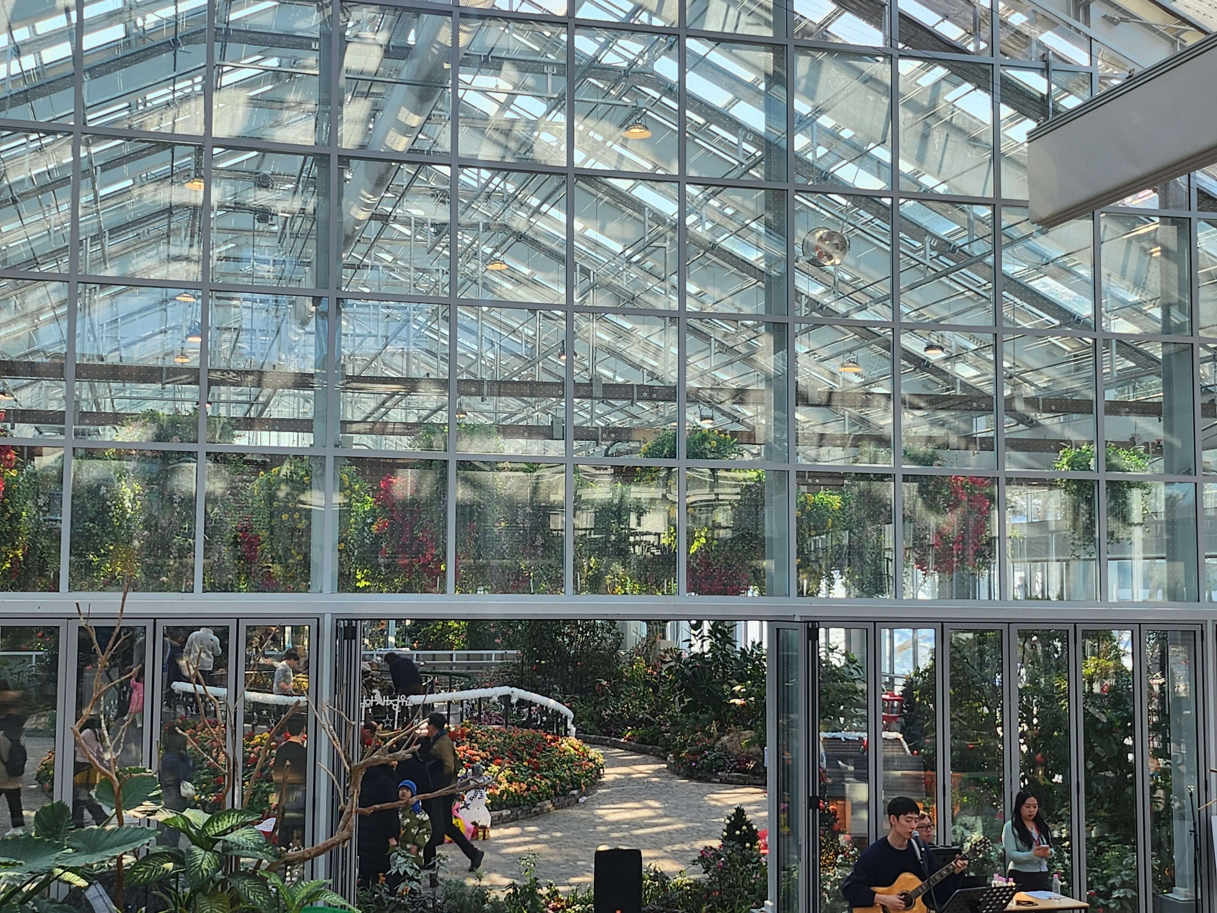 가평 베고니아 정원