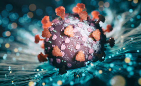 코로나-확진자-지원금