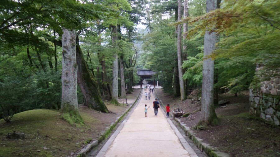 합천 해인사 : 가야산에 깃든 천년의 지혜 보종찰의 역사와 팔만대장경의 신비