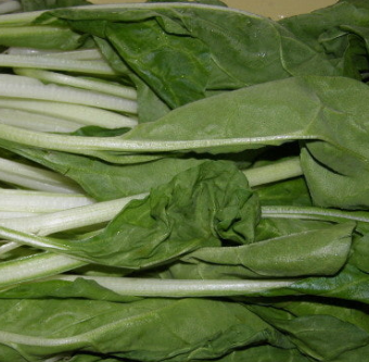 근대 효능과 부작용 나물 먹는법 고르는법 칼로리