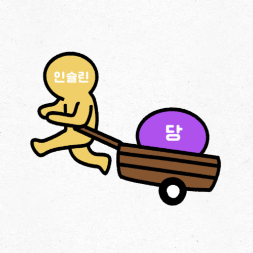 인슐린 저항성과 운동의 상관관계 설명 도식