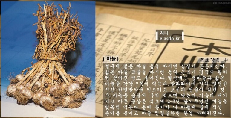 마늘 효능 12가지와 부작용 총정리...음식건강이야기 열번째