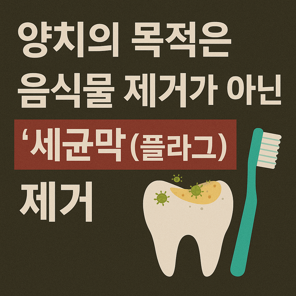 20년 치과의사가 알려주는 양치 순서