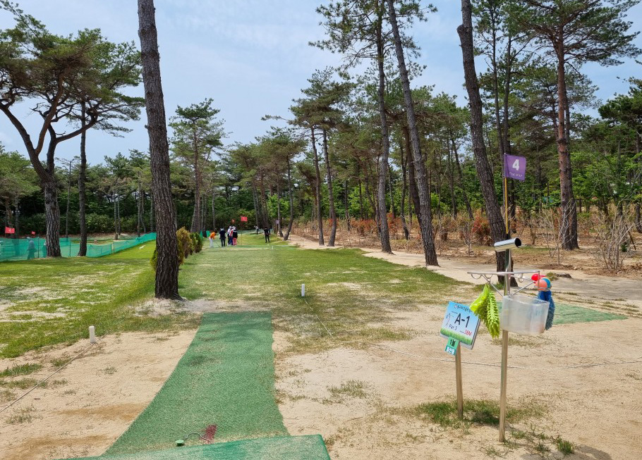 울산 쇠평파크골프장. 울산 동구 동부동 산 153 (울산테마식물수목원 바로옆)