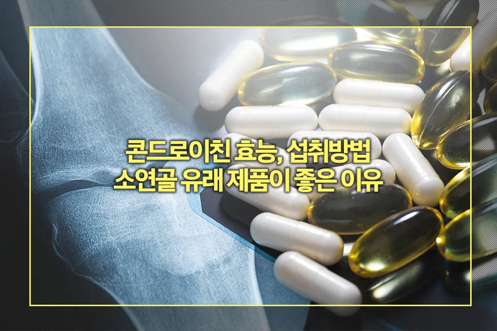 콘드로이친 효능 섭취방법 소연골 유래