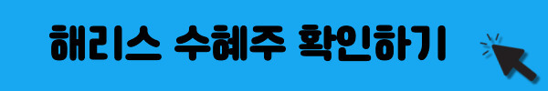 미국 대선