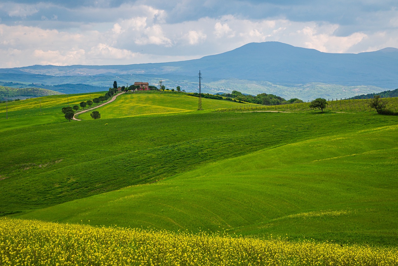 보령 청보리밭 축제 방문시기 위치 교통편 주차 산책로 걷기 충남 봄여행