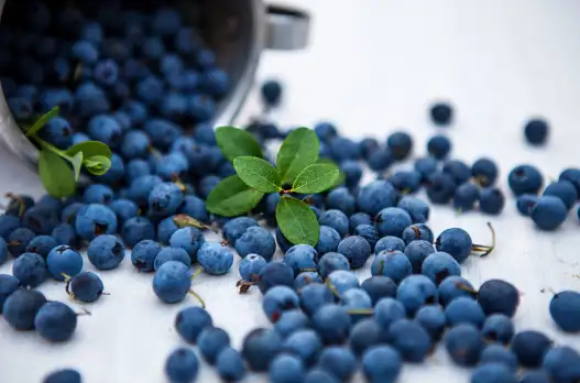 루테인 지아잔틴 많은 음식&amp;#44; 눈 건강에 좋은 음식