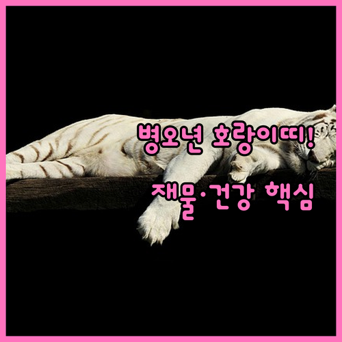 병오년 호랑이띠 운세 요약 재물 관리..