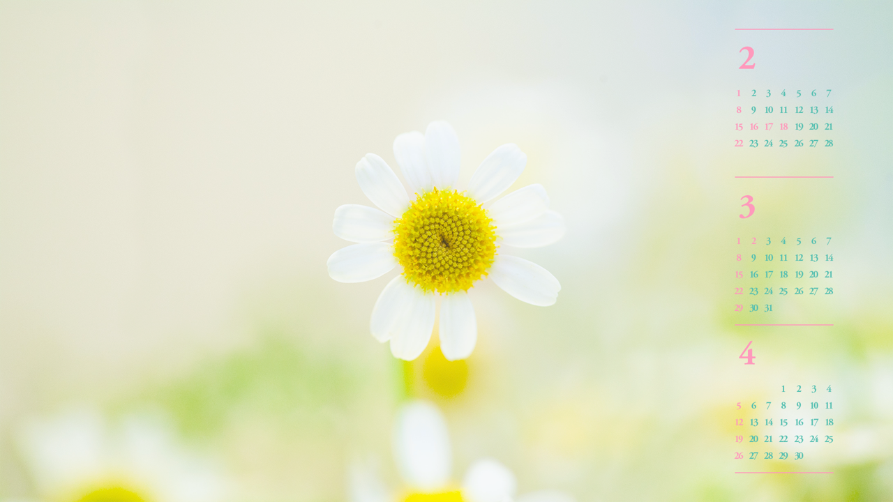 03 봄꽃 B - 2026년3월 달력배경화면