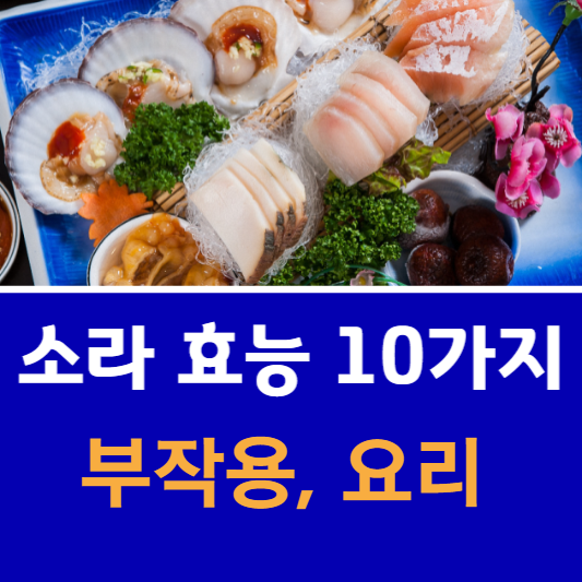소라-효능-10가지-부작용-요리