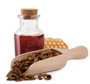 프로폴리스 효능, 부작용, 복용법 총정리 (2024ver)